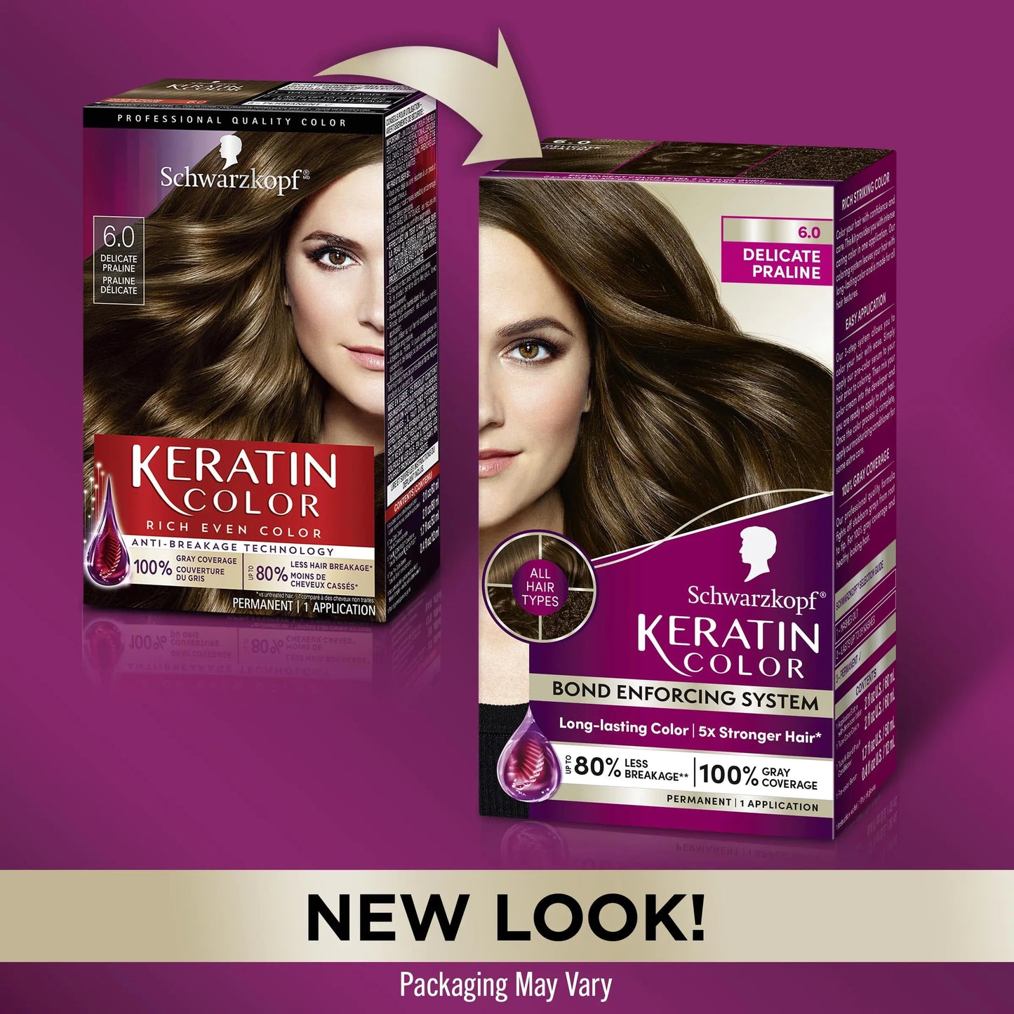 Schwarzkopf Keratin Color Permanent Hair Color, 6.0 Delicate Praline